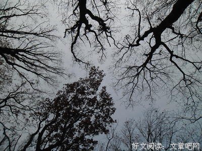 关于压抑的唯美语录