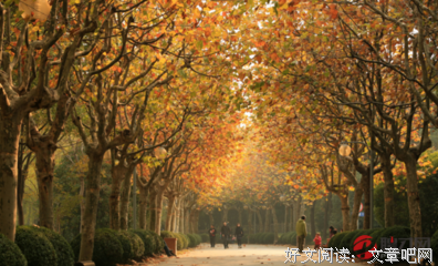 关于去内向立的语句