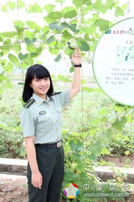 《青春百味》的句子