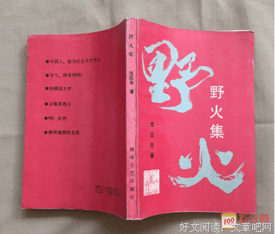 最全的《野火集》佳句摘抄
