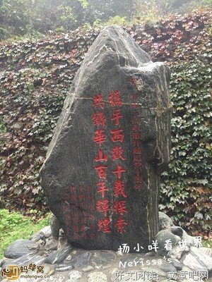 最经典的《长安乱》经典语句