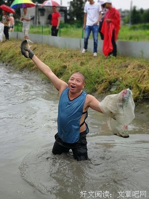摘菜经典名句