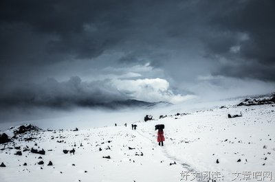 《乞力马扎罗的雪》经典观后感有感