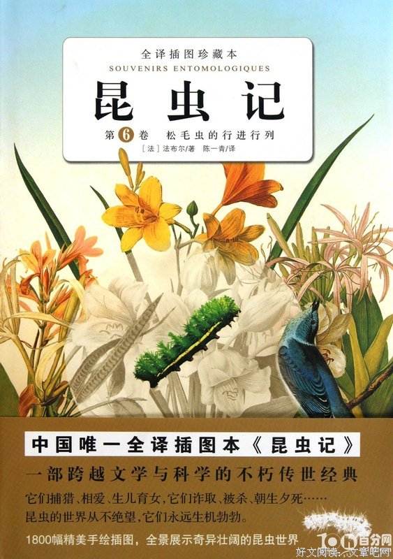 心碎博物馆经典读后感有感