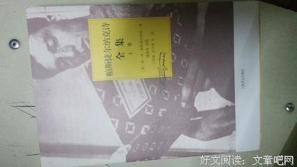 《帕斯捷尔纳克的诗》读后感摘抄