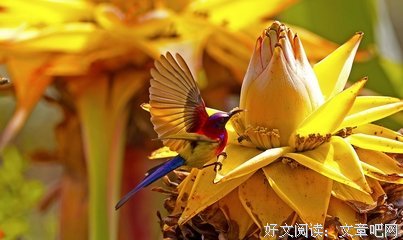 禅语
