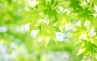 流光容易把人抛。的优美句子