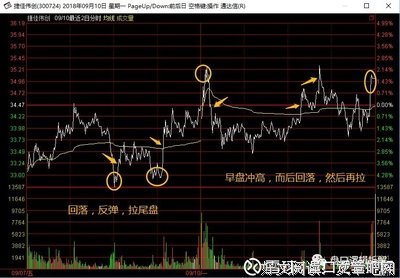 《做局》第1206章 看走眼了