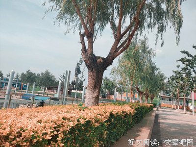 关于一梦知千秋的句子