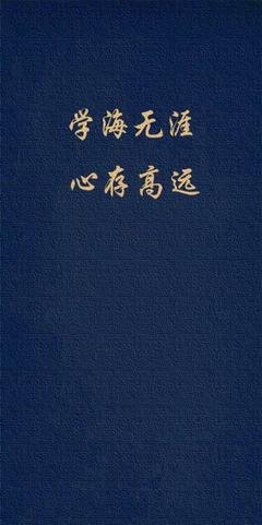 关于叔本华的唯美语录