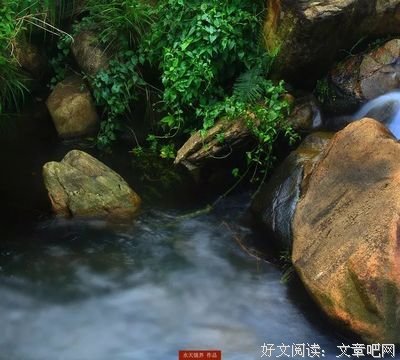 关于取长补短的名句摘抄