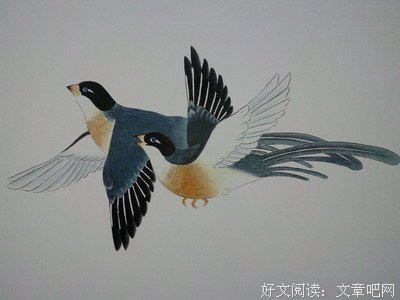 关于十夫学的唯美语录