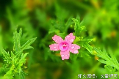 “复婚前24小时，我玩了一场走了火的姐弟恋。”