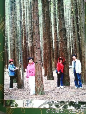 相遇经典的句子