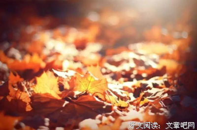 关于百度百科的名句