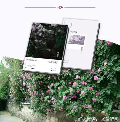 关于爱情，人生的句子