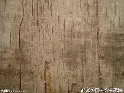 有关竹本无心的句子