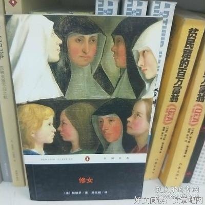《修女》经典观后感有感