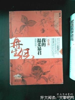 再生缘：我的温柔暴君读后感摘抄