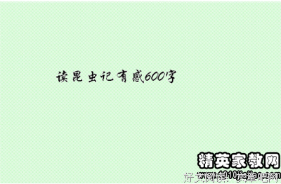 爱上小气先生经典读后感有感