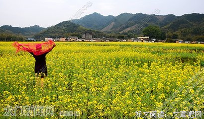 有关民用在原的句子