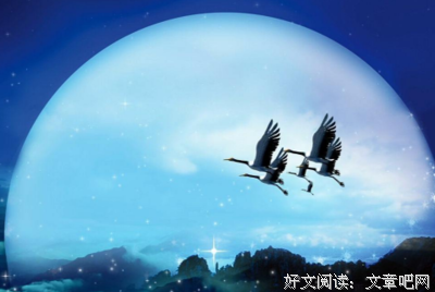 唯美，唯美(&gt;^ω^&lt;)喵的优美句子