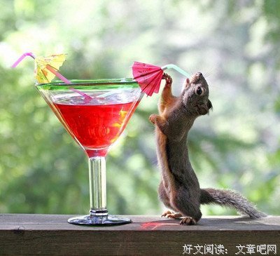 关于随笔的优美句子