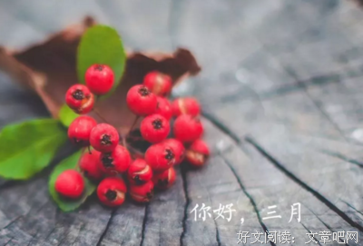 三月：愿所有美好，不负归期