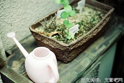 最全的《星空club》经典语句大全
