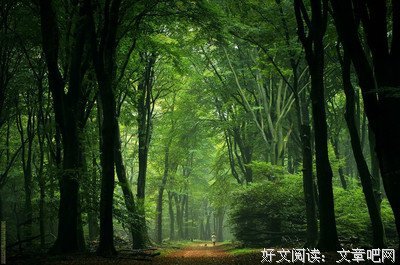 千殇经典的句子