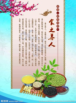 闲情偶寄好词好句