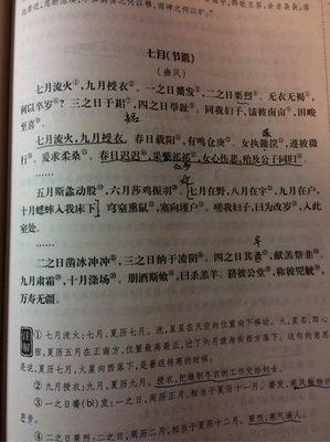 《今天开始做明星》经典观后感1000字