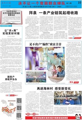《海林都》经典观后感有感