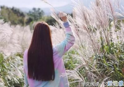 年华家来后人效信的优美句子
