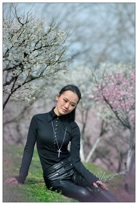 花弄影的优美句子