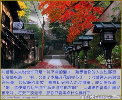 15条关于发胡的经典语句