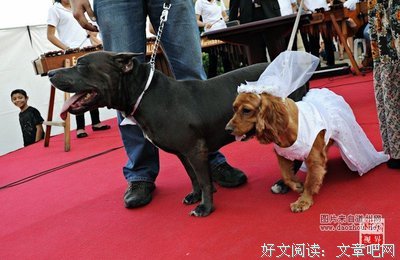 关于可卡名言名句