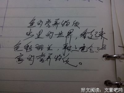 可圈可点的句子