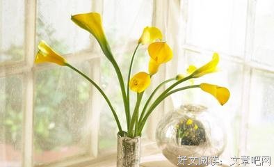 关于可堂的语句