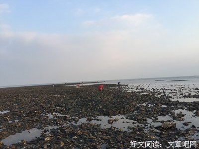 有关情海拾贝的句子