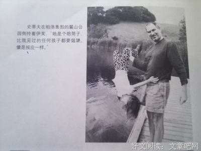 描写可岁·伊芙的语句摘抄