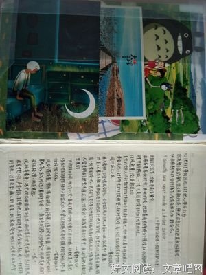 可拾的语句摘抄_关于可拾的语句