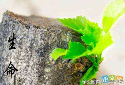 可里月的名人名言