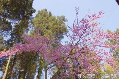 阳春三月我们来啦