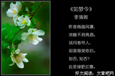 诗，词，雨。