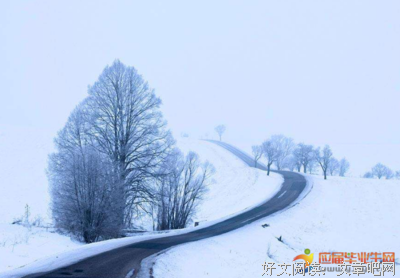 心念就个言句子大全