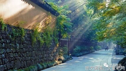 专治不开心，看完心情大好！