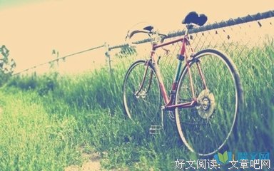 关于陪伴的句子