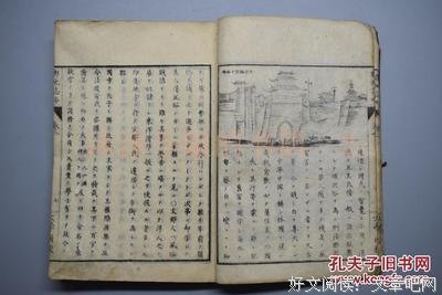 《野王》影评摘抄