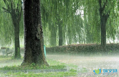 细雨飘梦句子大全